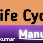 Bug Life Cycle in Manual Testing